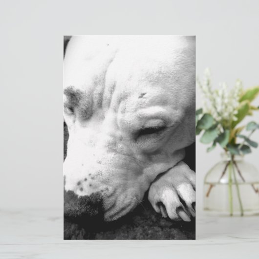 witte roeststier briefpapier (Staand voorkant)