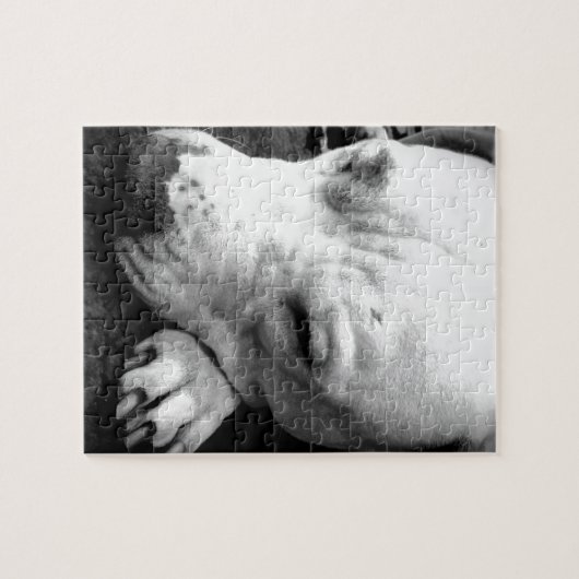 witte roeststier legpuzzel (Horizontaal)