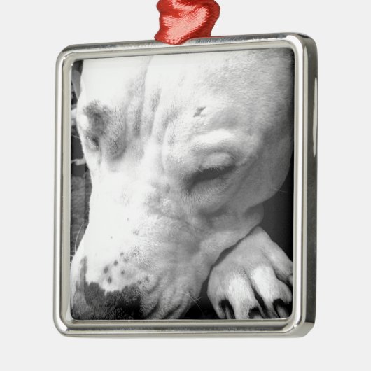 witte roeststier metalen ornament (Links)