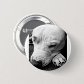 witte roeststier ronde button 5,7 cm (Voorkant /achterkant)