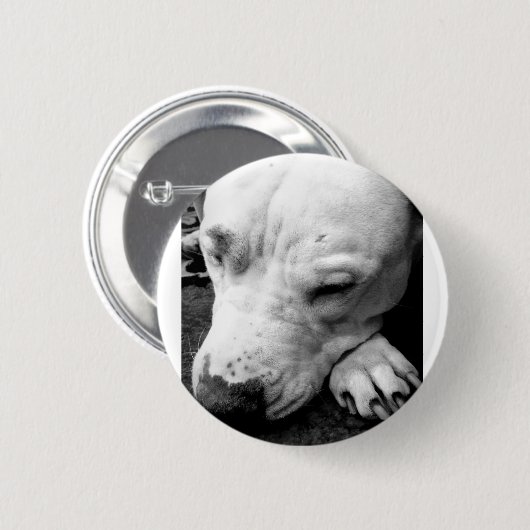 witte roeststier ronde button 5,7 cm (Voorkant /achterkant)