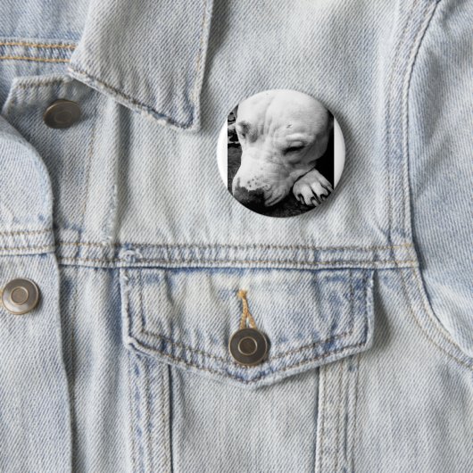 witte roeststier ronde button 5,7 cm (In situ)