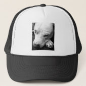 witte roeststier trucker pet (Voorkant)