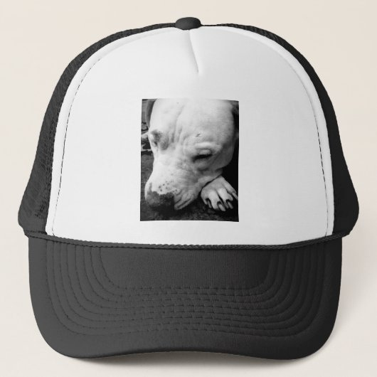 witte roeststier trucker pet (Voorkant)