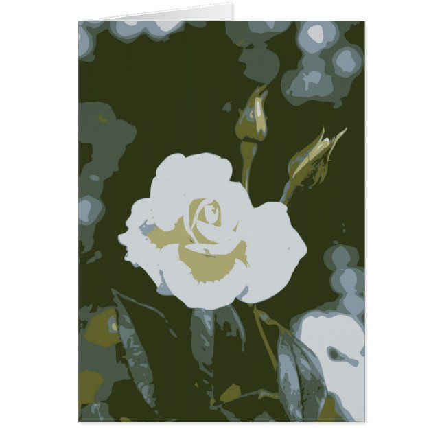Witte Roos (Voorkant)