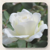 Witte Roos Bier Onderzetter (Voorkant)