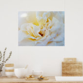 Witte Roos Bloem kunstprint Botanische Tuin Poster (Keuken)