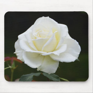 Witte roos bloem muismat