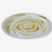 Witte roos bloem Papieren bord (Gekanteld)