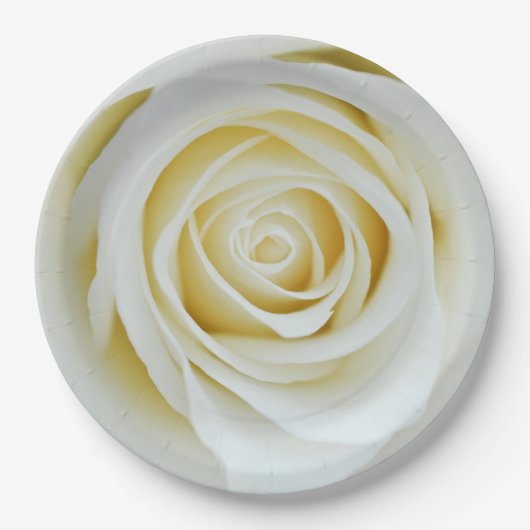 Witte roos bloem Papieren bord (Voorkant)