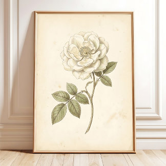 Witte Roos Boho Botanische Print in Vintage Stijl