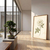 Witte Roos Boho Botanische Print in Vintage Stijl