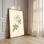 Witte Roos Boho Botanische Print in Vintage Stijl
