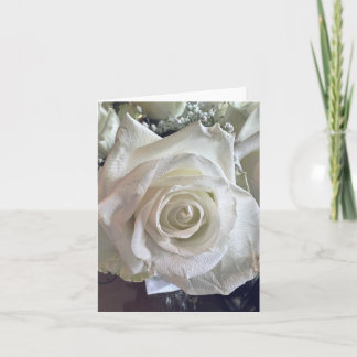 Witte Roos Briefkaart