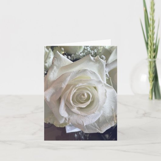 Witte Roos Briefkaart (Voorkant)