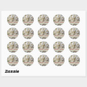 Witte roos bruidszegels / stickers (Vel)