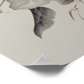 Witte Roos Elegante Bloemenboeket Poster (Hoek)
