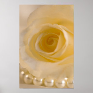 Witte Roos en Parels Poster