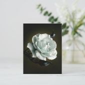 Witte roos foto op zwarte achtergrond briefkaart (Staand voorkant)