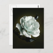 Witte roos foto op zwarte achtergrond briefkaart (Voorkant / Achterkant)
