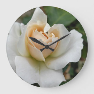 Witte Roos Grote Klok