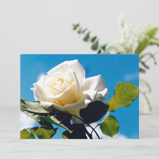 Witte roos - Het feestleven Feestdagenkaart (Staand voorkant)