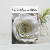 Witte roos. kaart (Staand voorkant)