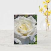 Witte Roos Kaart met Persoonlijke Boodschap (Gele Bloem)