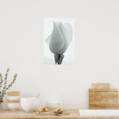 Witte roos knop ... poster (Keuken)