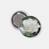 Witte Roos Magneet (Voorkant / Achterkant)