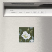 Witte Roos Magneet (Insitu (Vaatwasser))