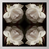 Witte roos met regendruppels Spiegel Abstract  Poster (Voorkant)
