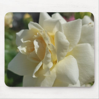 Witte Roos Muismat