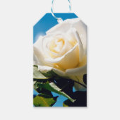 Witte roos onder blauwe hemel cadeaulabel (Voorkant)