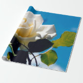 Witte roos onder blauwe hemel cadeaupapier (Uitgerold)