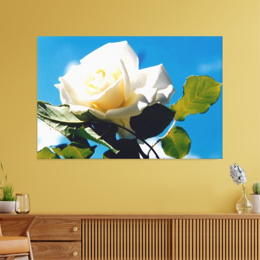 Witte roos onder blauwe hemel canvas afdruk (Insitu (Woonkamer))