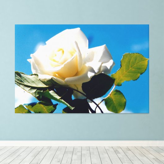 Witte roos onder blauwe hemel canvas afdruk (Insitu (Houten vloer))