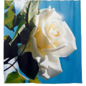 Witte roos onder blauwe hemel douchegordijn (Voorkant)