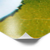 Witte roos onder blauwe hemel foto afdruk (Hoek)