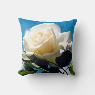 Witte roos onder blauwe hemel kussen