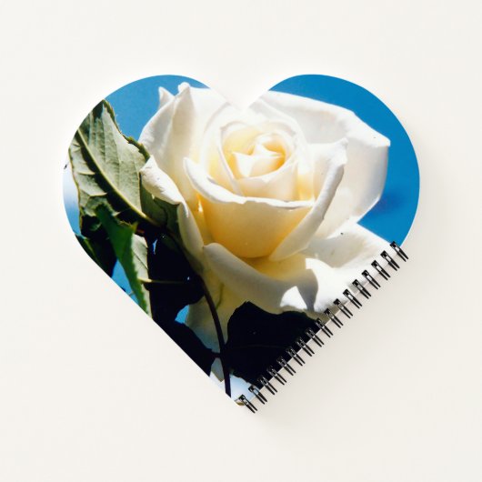 Witte roos onder blauwe hemel notitieboek (Achterkant)