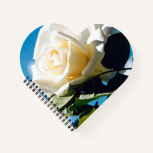 Witte roos onder blauwe hemel notitieboek