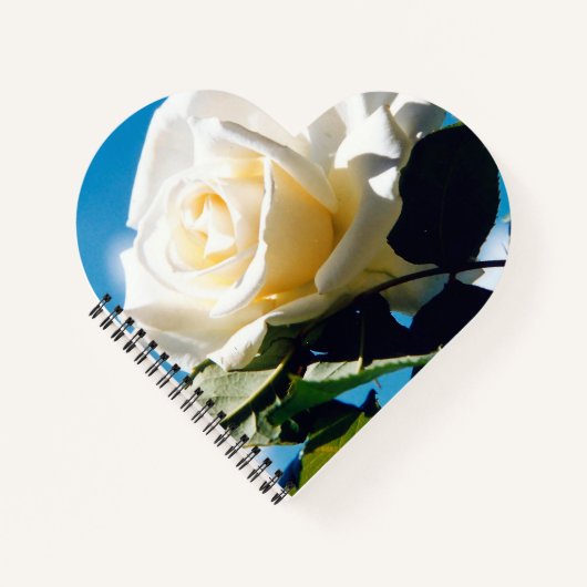 Witte roos onder blauwe hemel notitieboek (Voorkant)