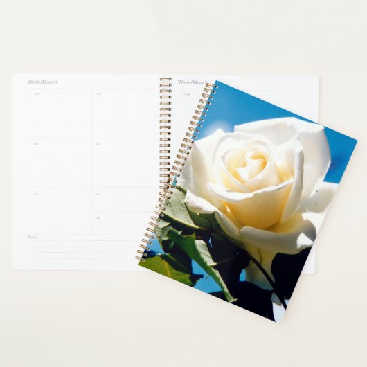 Witte roos onder blauwe hemel planner (Display)