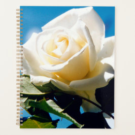 Witte roos onder blauwe hemel planner