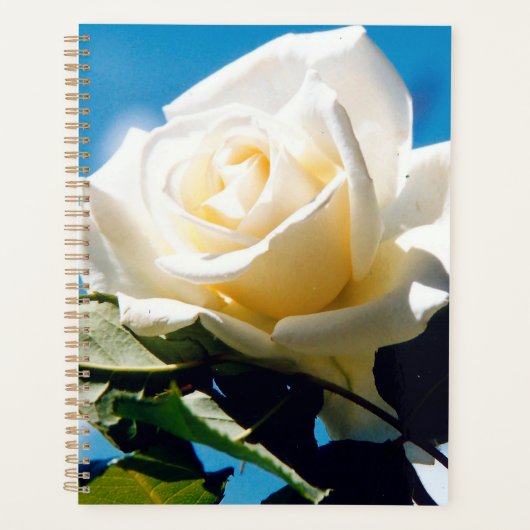 Witte roos onder blauwe hemel planner (Voorkant)