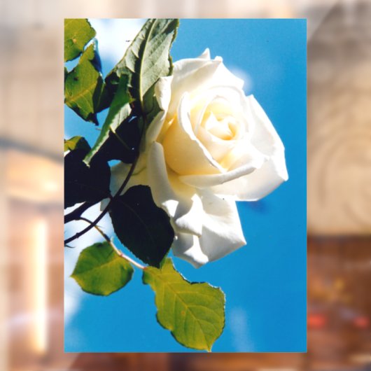 Witte roos onder blauwe hemel raamsticker (Vel 2)