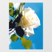 Witte roos onder blauwe hemel raamsticker (Vel)
