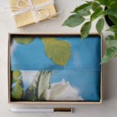 Witte roos onder blauwe hemel tissuepapier (Geschenk)