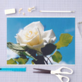 Witte roos onder blauwe hemel tissuepapier (Craft)